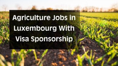 Agriculture Jobs in Luxembourg With Visa Sponsorship