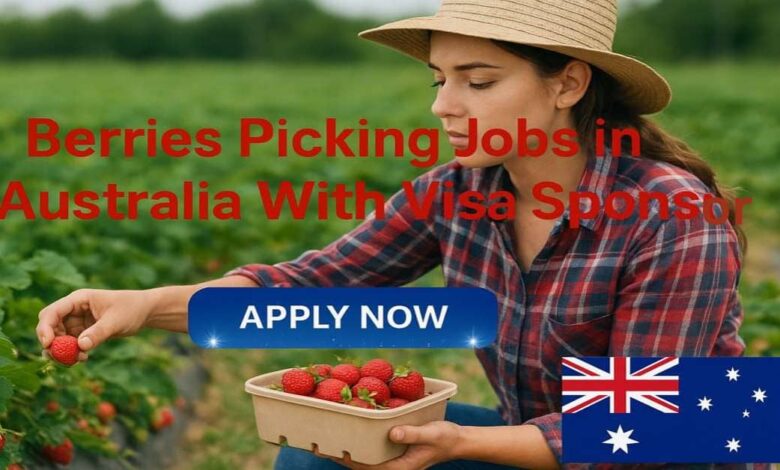 Berries Picking Jobs in Australia With Visa Sponsor