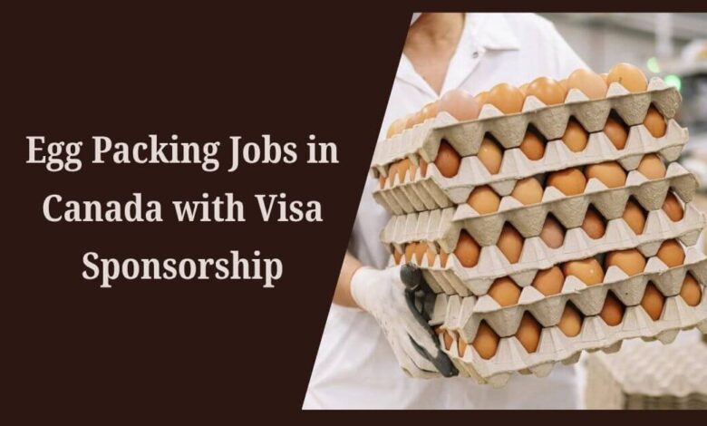 Egg Packing Jobs in Canada with Visa Sponsorship