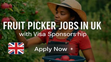 Fruit Picker Jobs in UK with Visa Sponsorship