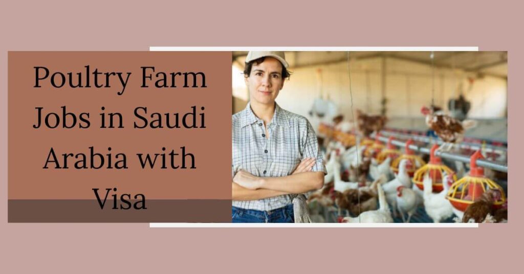 Poultry Farm Jobs in Saudi Arabia with Visa