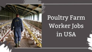Poultry Farm Worker Jobs in USA