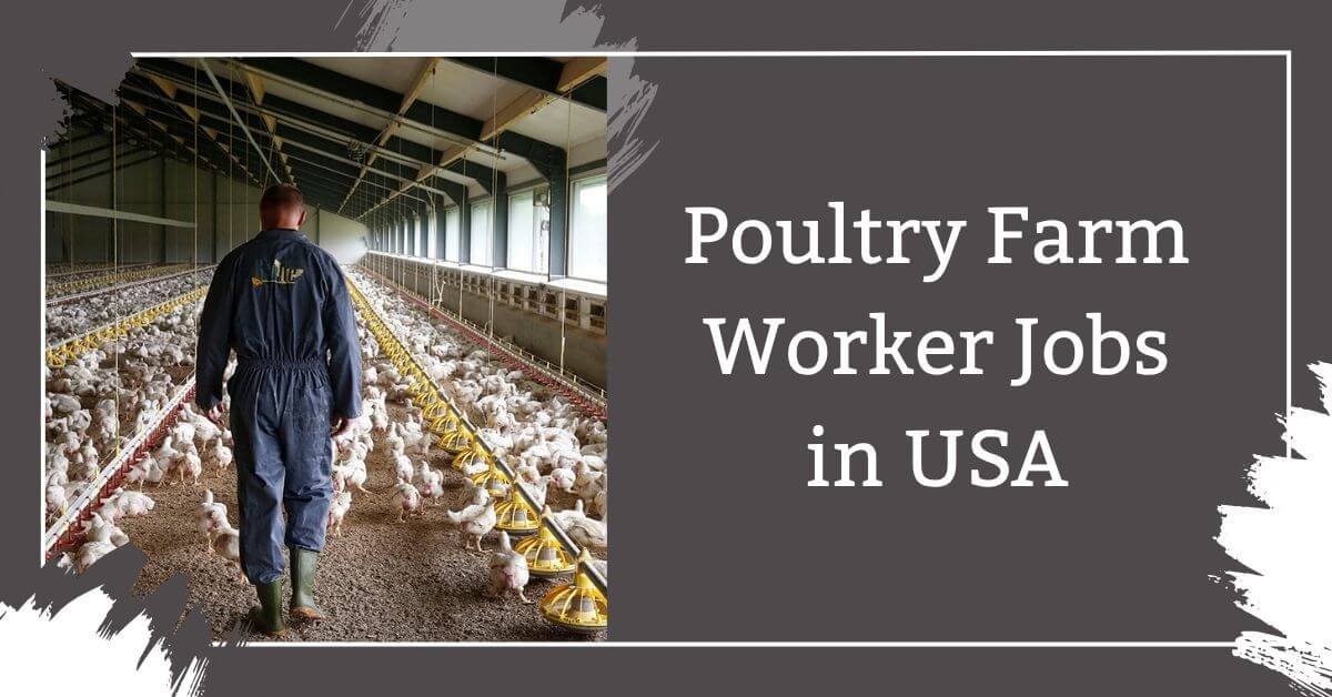 Poultry Farm Worker Jobs in USA