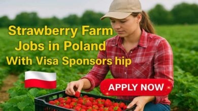 Strawberry Farm Jobs in Poland With Visa Sponsorship