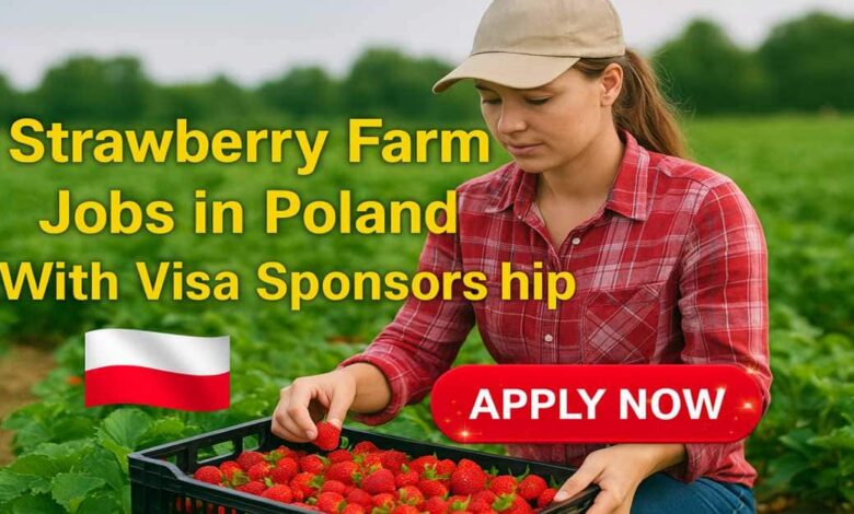 Strawberry Farm Jobs in Poland With Visa Sponsorship