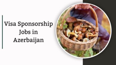 Visa Sponsorship Jobs in Azerbaijan