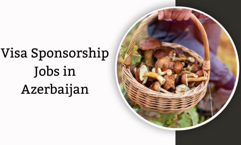 Visa Sponsorship Jobs in Azerbaijan