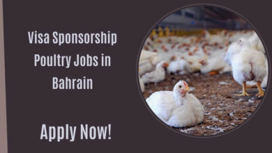 Visa Sponsorship Poultry Jobs in Bahrain