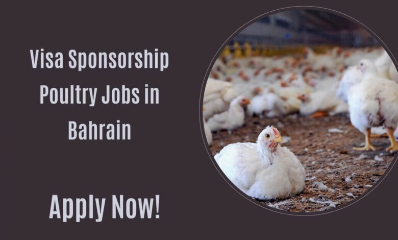 Visa Sponsorship Poultry Jobs in Bahrain