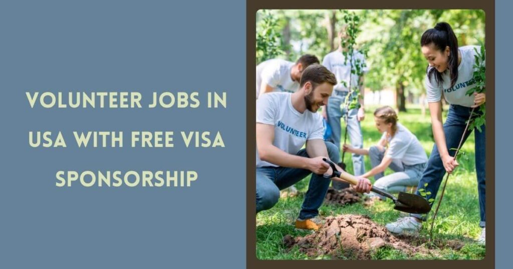 Volunteer Jobs in USA with Free Visa Sponsorship