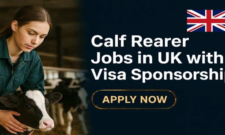 Calf Rearer Jobs in UK with Visa Sponsorship