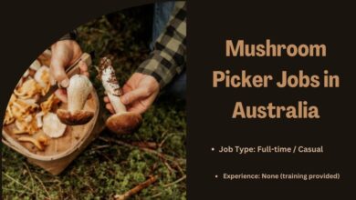 Mushroom Picker Jobs in Australia