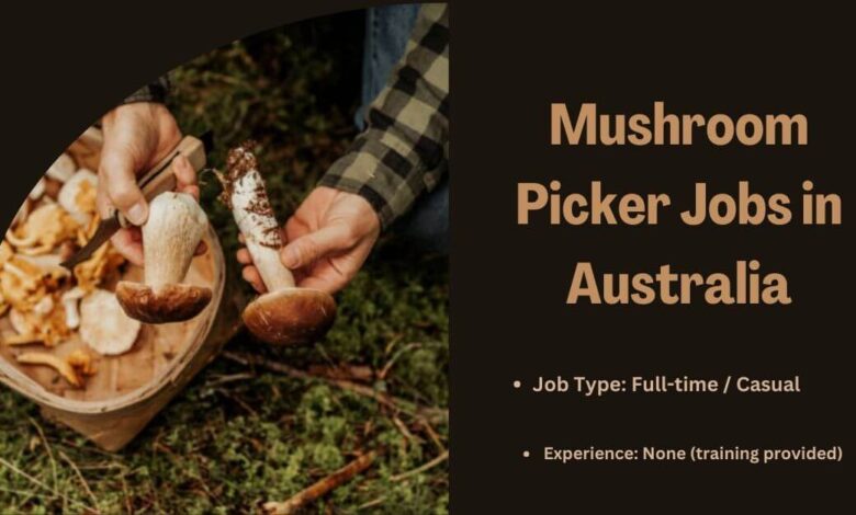 Mushroom Picker Jobs in Australia