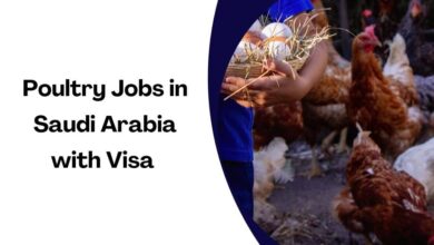 Poultry Jobs in Saudi Arabia with Visa