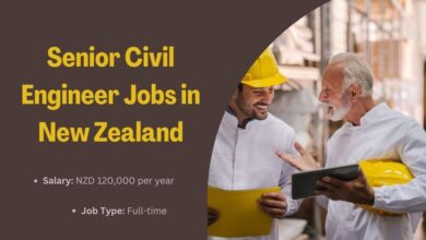 Senior Civil Engineer Jobs in New Zealand