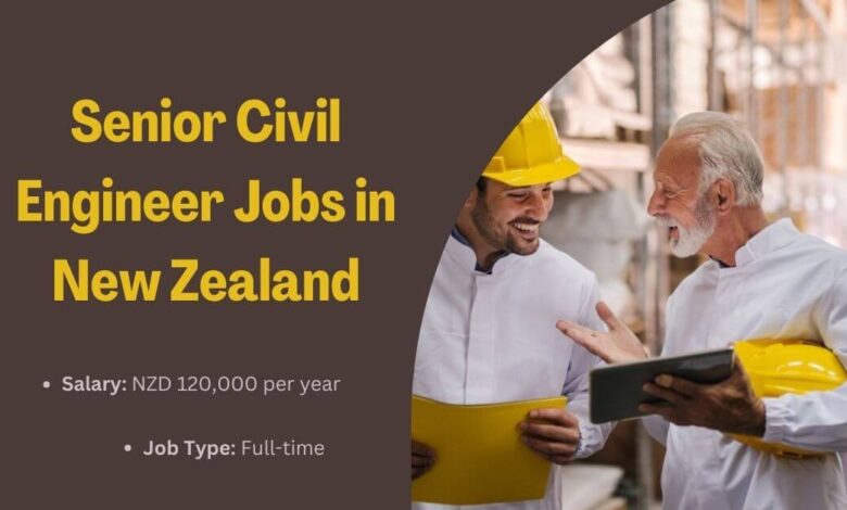 Senior Civil Engineer Jobs in New Zealand