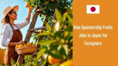 Visa Sponsorship Fruits Jobs in Japan for Foreigners