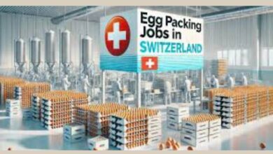 Egg Packing Jobs In Switzerland With Visa Sponsorship