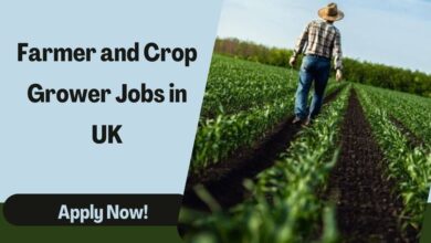 Farmer and Crop Grower Jobs in UK