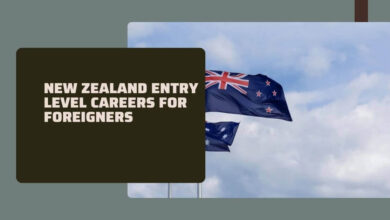 New Zealand Entry Level Careers For Foreigners
