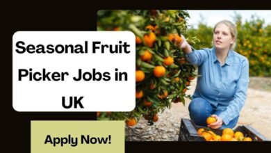 Seasonal Fruit Picker Jobs in UK