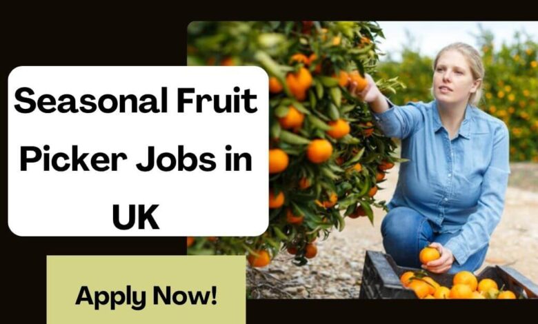 Seasonal Fruit Picker Jobs in UK