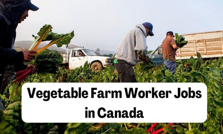 Vegetable Farm Worker Jobs in Canada