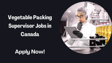 Vegetable Packing Supervisor Jobs in Canada