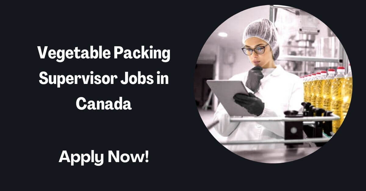 Vegetable Packing Supervisor Jobs in Canada