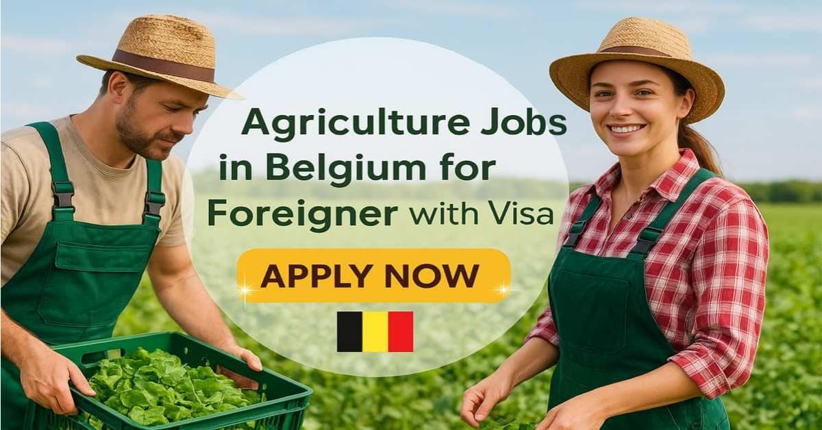 Agriculture Jobs in Belgium for Foreigner with Visa