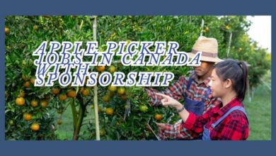 Apple Picker Jobs In Canada With Sponsorship