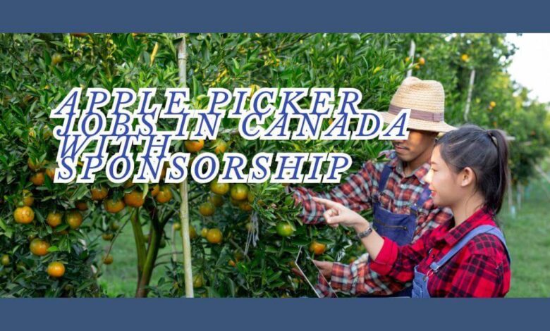 Apple Picker Jobs In Canada With Sponsorship