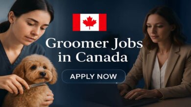 Groomer Jobs in Canada