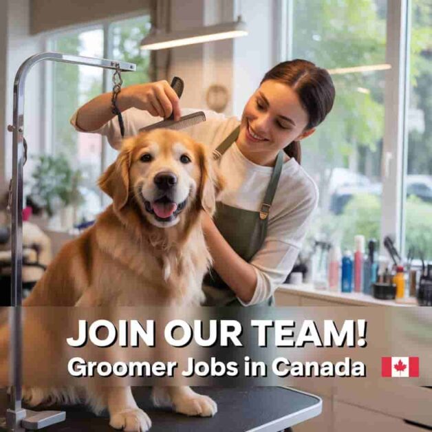 Groomer Jobs in Canada