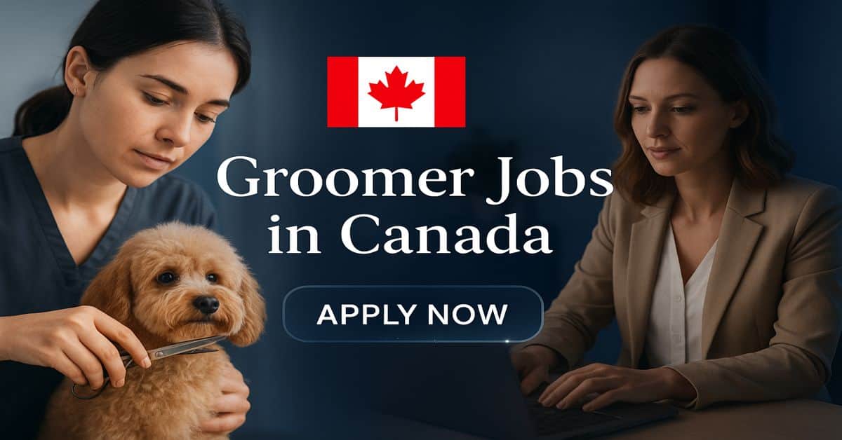 Groomer Jobs in Canada