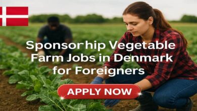 Sponsorship Vegetable Farm Jobs in Denmark for Foreigners