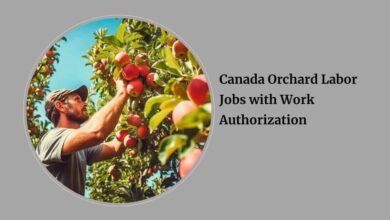 Canada Orchard Labor Jobs with Work Authorization