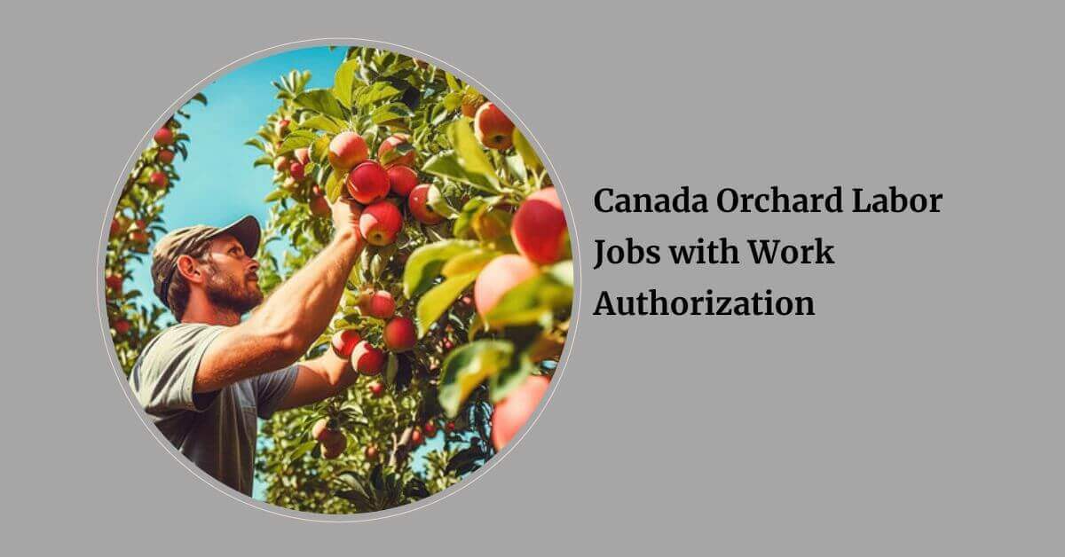 Canada Orchard Labor Jobs with Work Authorization