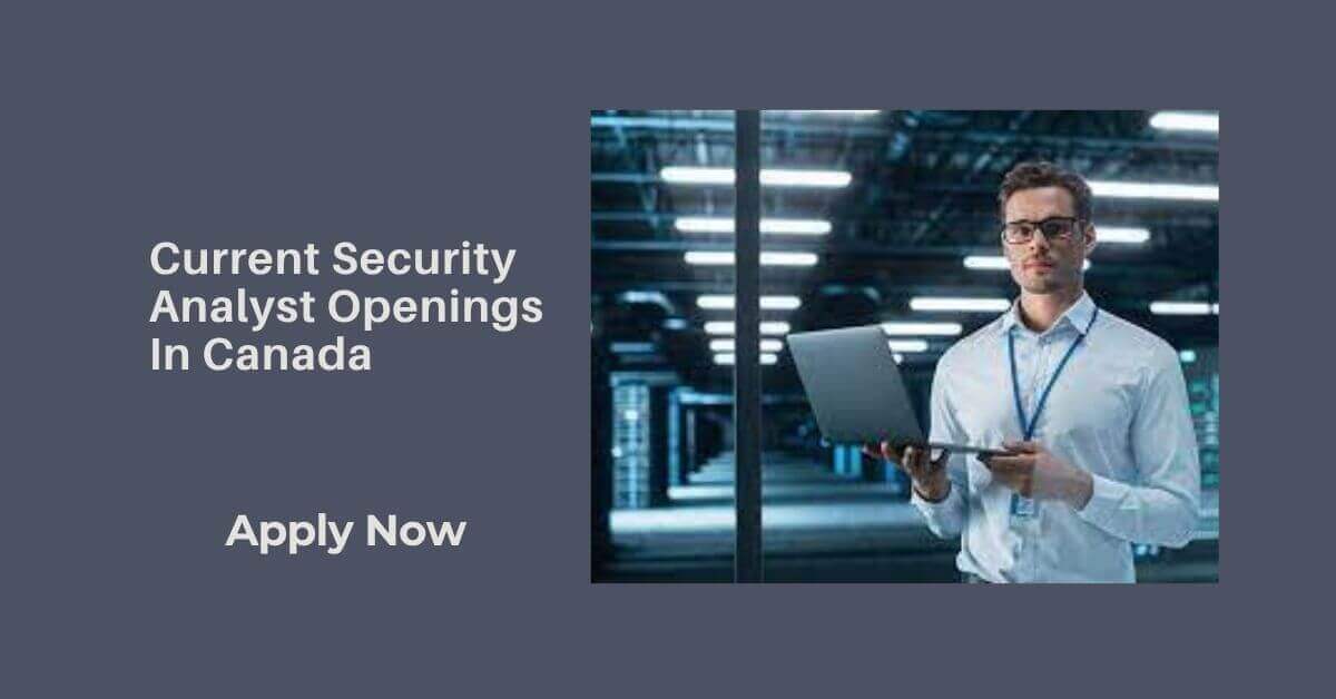 Current Security Analyst Openings In Canada