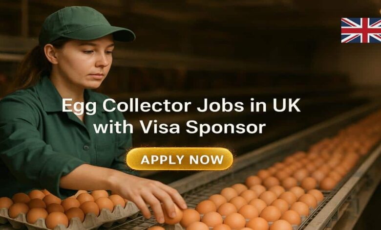 Egg Collector Jobs in UK with Visa Sponsor