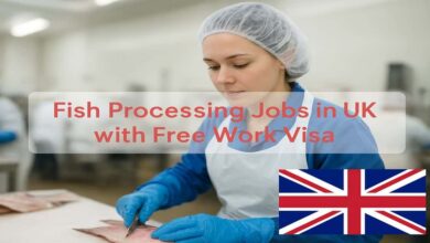 Fish Processing Jobs in UK with Free Work Visa