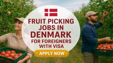 Fruit Picking Jobs in Denmark for Foreigners with Visa