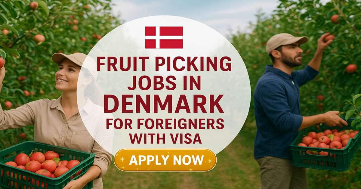 Fruit Picking Jobs in Denmark for Foreigners with Visa