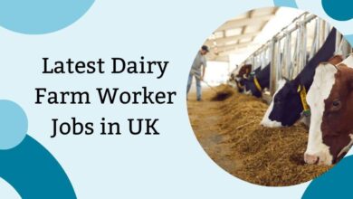 Latest Dairy Farm Worker Jobs in UK