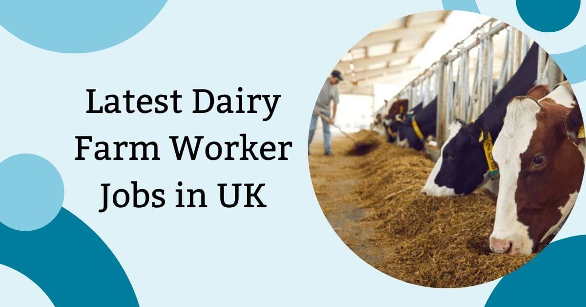 Latest Dairy Farm Worker Jobs in UK
