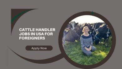 Cattle Handler Jobs In USA For Foreigners