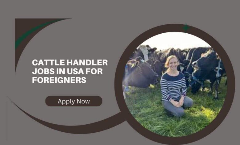 Cattle Handler Jobs In USA For Foreigners