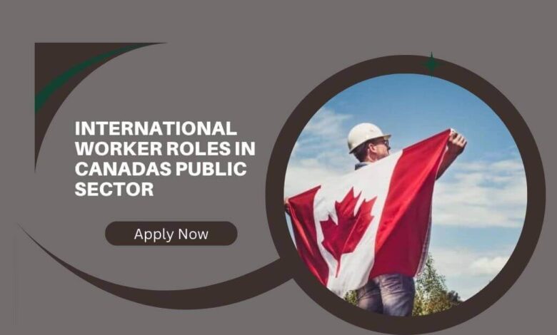 International Worker Roles In Canadas Public Sector