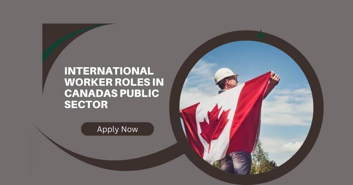 International Worker Roles In Canadas Public Sector