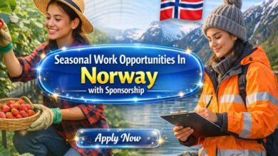 Seasonal Work Opportunities In Norway with Sponsorship